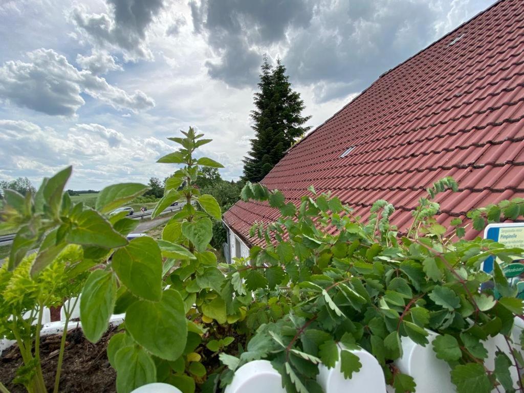 Апартаменты Familienhof Mueritz Klein Plasten Экстерьер фото